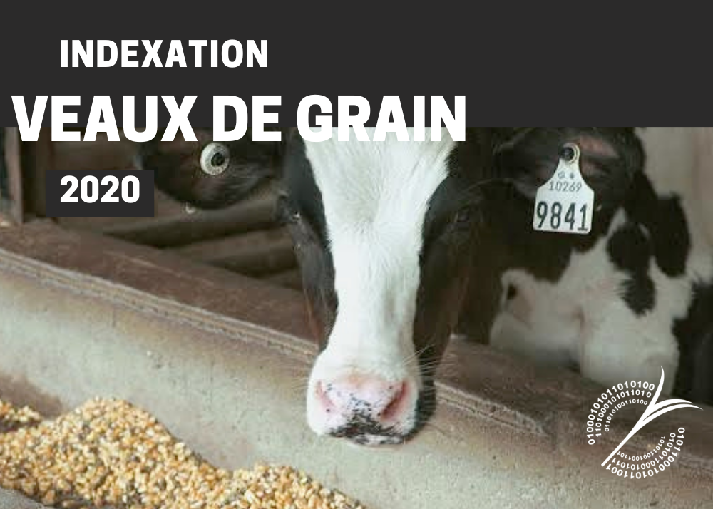 Études de coûts de production : INDEXATION 2020 - VEAUX DE GRAIN